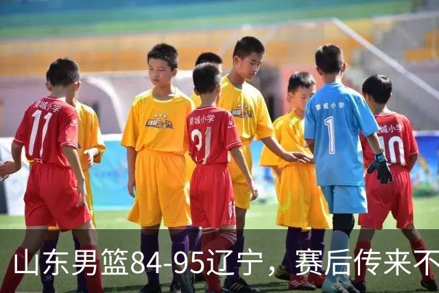 山东男篮84-95辽宁，赛后传来不可思议事实，邱彪教练一针见血